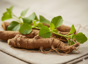 The Modern Hustle vs. Ancient Calm: Managing Stress with Ashwagandha & Brahmi